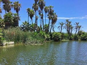 “El Estero es oxígeno para la flora y fauna”: Guardianes del Estero