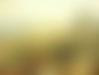 “Poco relacionamos la guerra de Independencia con las cuestiones ecológicas y agrícolas que tuvieron mucho qué ver”: Luis Manuel Guerra