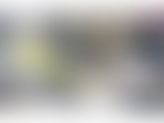 “No se prevé que Mario impacte territorio nacional”: Libia González