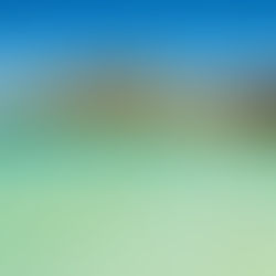 Las playas de México y de BCS: un tesoro que exige protección