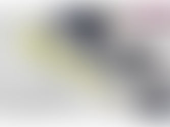 “Este día se pronostican algunas lluvias, vientos y oleaje elevado”: Berenice Peláez 