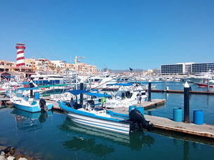 “Alrededor del 25% de la gente que viene a Los Cabos realiza actividades de pesca deportiva”: Enrique Fernández 