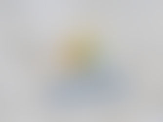 “Damos atención a 7 temas de salud física, mental y social a través de programas”: Marisa Comella 