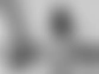 “Las denuncias por violencia familiar en Los Cabos y La Paz, van en aumento”: Beatriz Adriana Robles García