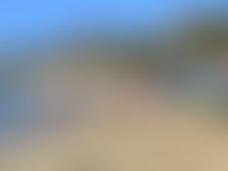 Trabaja Zofemat (Zona Federal Marítimo-Terrestre) en reglamento para playas