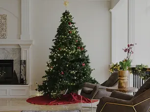 Es benéfico comprar un árbol de Navidad natural 