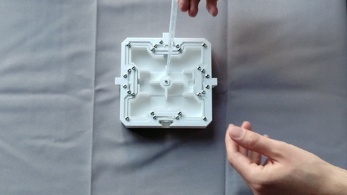 Quad Core Modular nest (Series X) | Antsrus