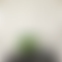 ［5月のお稽古］