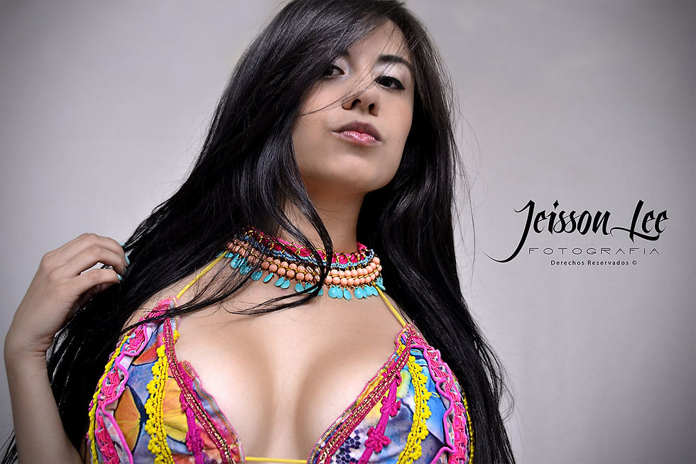 Derechos reservados Jeisson Lee ©