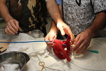 Tailor made Simulator