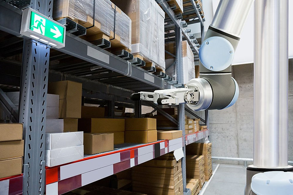 Warehouse robotics at work