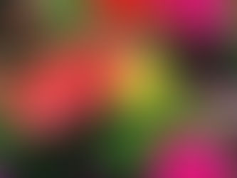 Resiliency BLOOMS with Music for Wounded Warriors