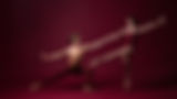los_angeles_ballet_leadership_desktop copy.jpg