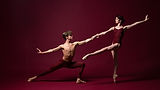 los_angeles_ballet_leadership_desktop copy.jpg