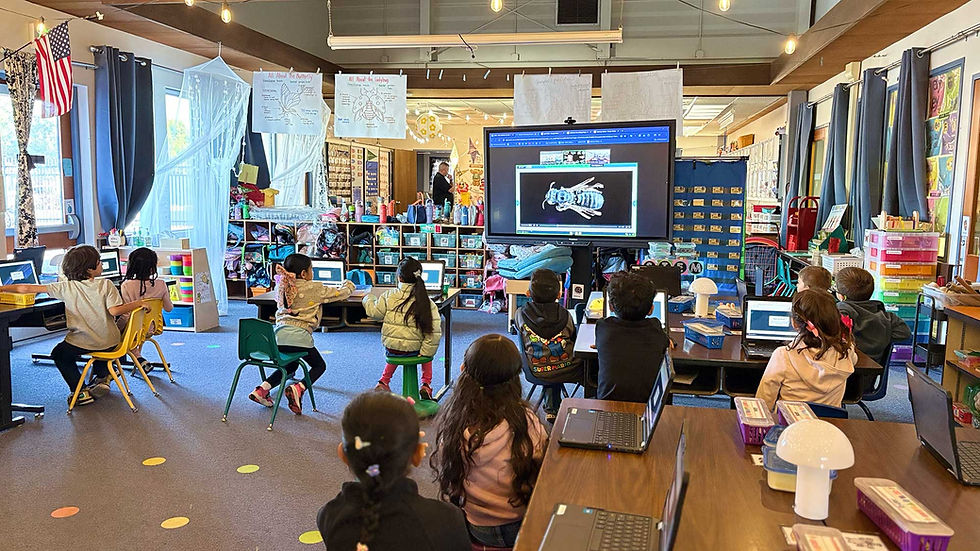 Grade school classroom studying bees
