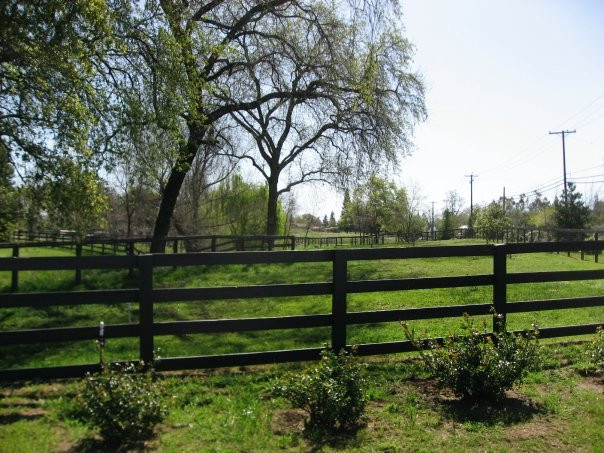 DELTA FARM LLC photo