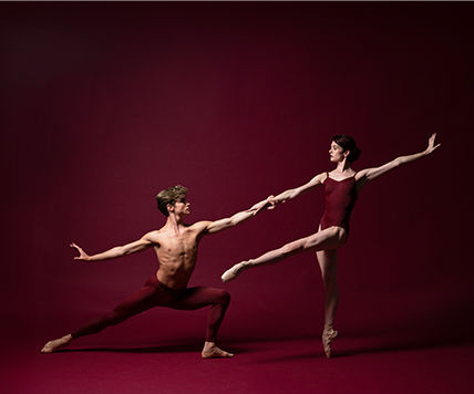 los_angeles_ballet_leadership_mobile.jpg