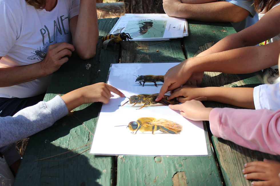 Teaching Resources