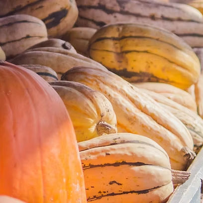 Safe Spot Trick-or-Treat at Dave’s Pumpkin Patch