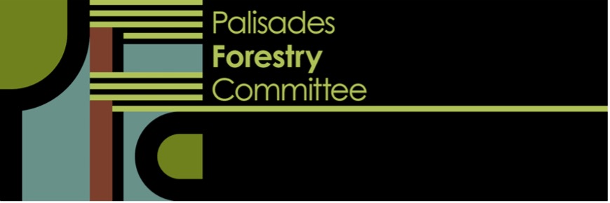 PFC logo.jpg