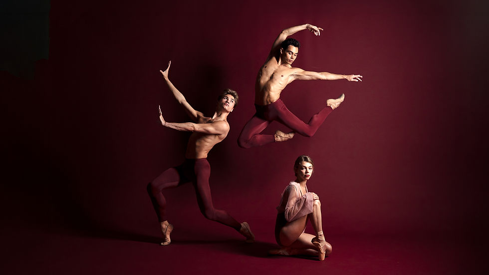 los_angeles_ballet_lab_company_desktop.jpg