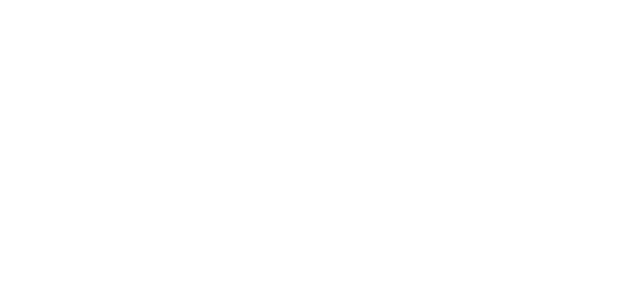White_Gull.png
