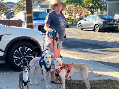 Tresha walking two tan dogs