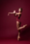 los_angeles_ballet_membership_circles_mobile.jpg