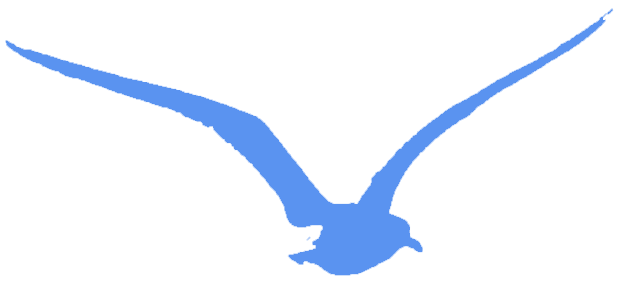 Blue_Gull.png