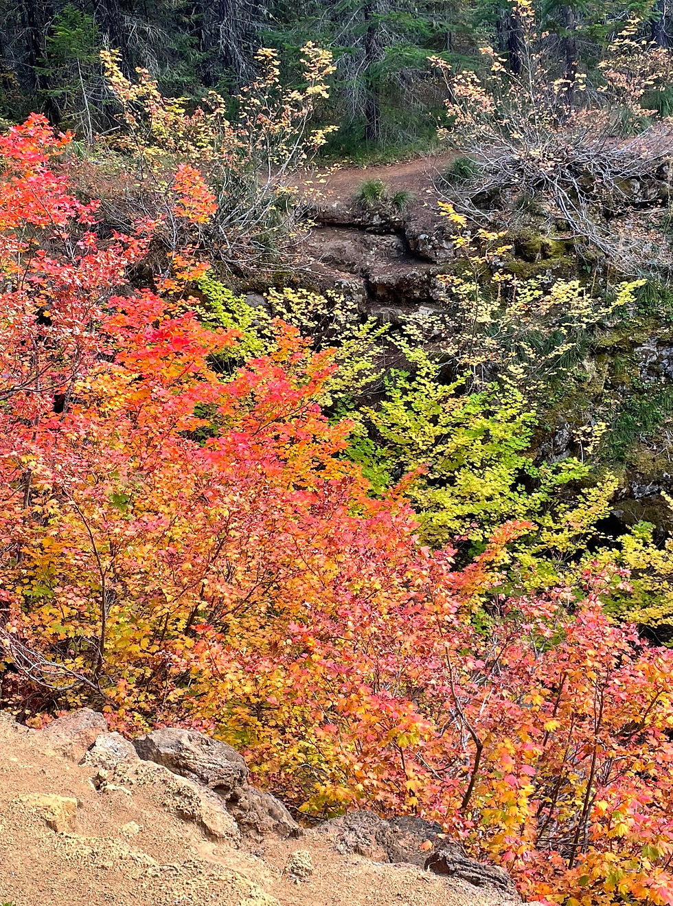 Why There Ought to Be Autumn â Every Month!