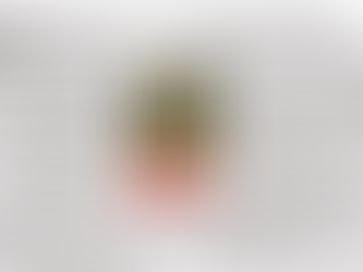 Nichi Bei Weekly reviews 'The Buddhist Swastika and Hitler's Cross'