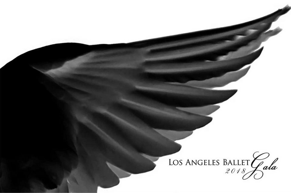 Black wing for Swan Lake ad