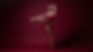 Board of Directors | Los Angeles Ballet