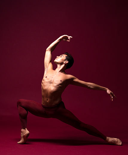 los_angeles_ballet_subscribe_mobile.jpg
