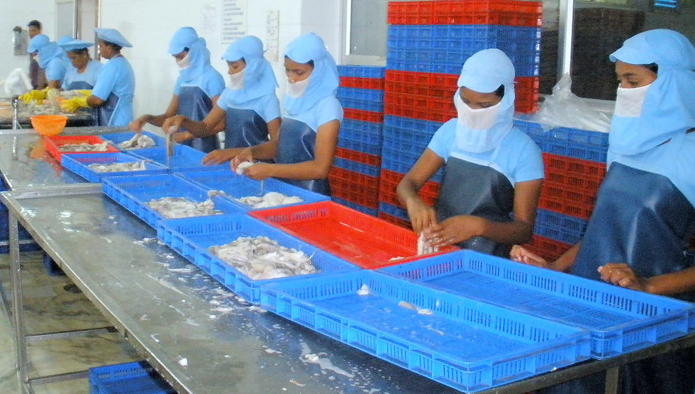Modern Factory Facilities | Aswin Associates