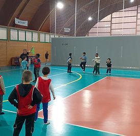 WhatsApp Image 2026-02-03 at 17.17.23.jpeg