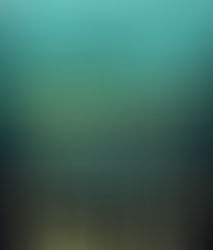 Frightful Reads: You Let Me In by Camilla Bruce