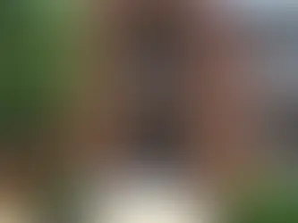 Salina Dunbar School 1922-1956