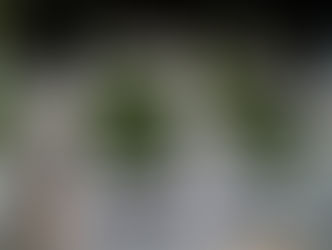 EMPRESA EXPORTADORA DE AGUACATE HASS