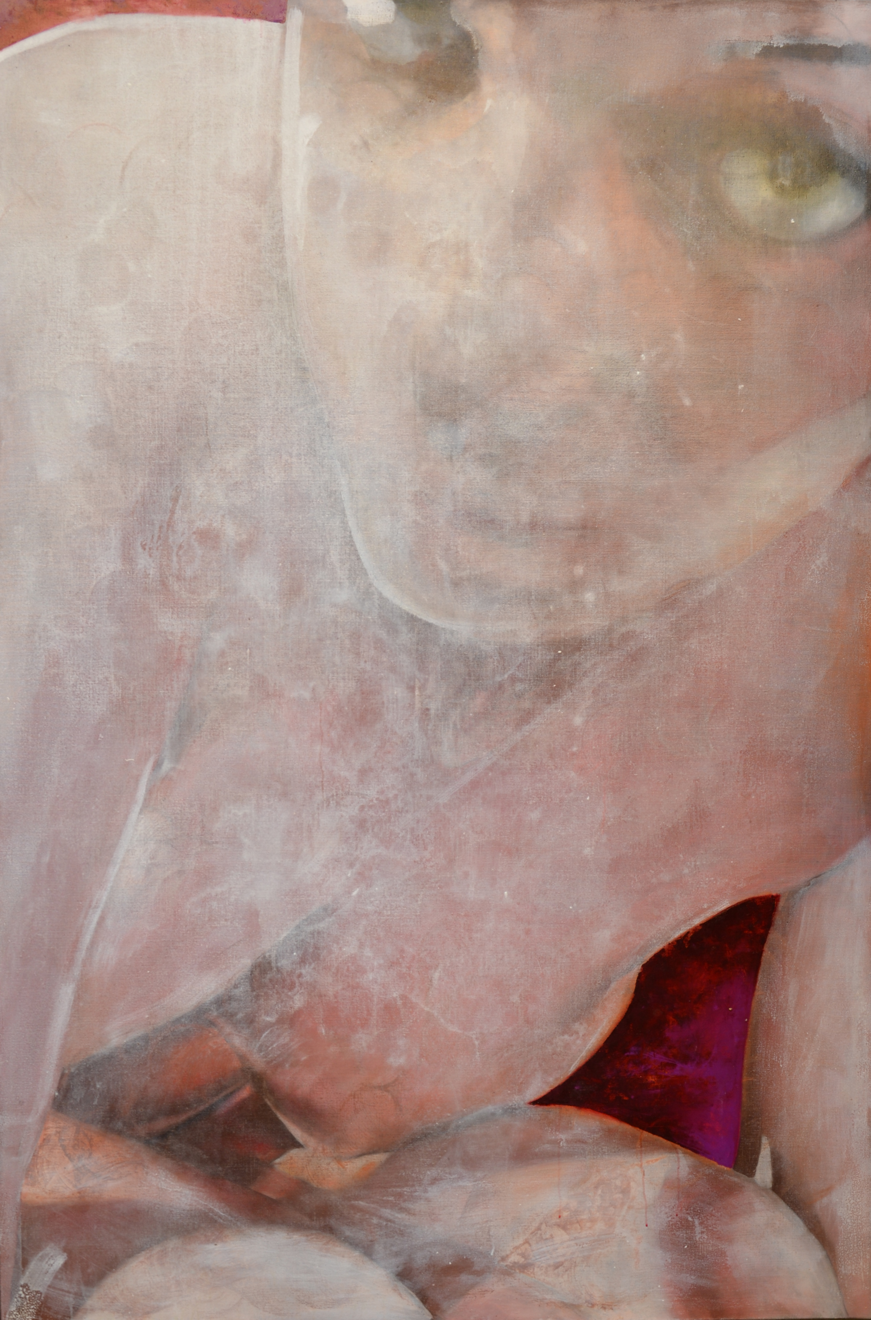 661 INTIMATE SOPHIE 2013, Huile sur lin, 197x130.jpg