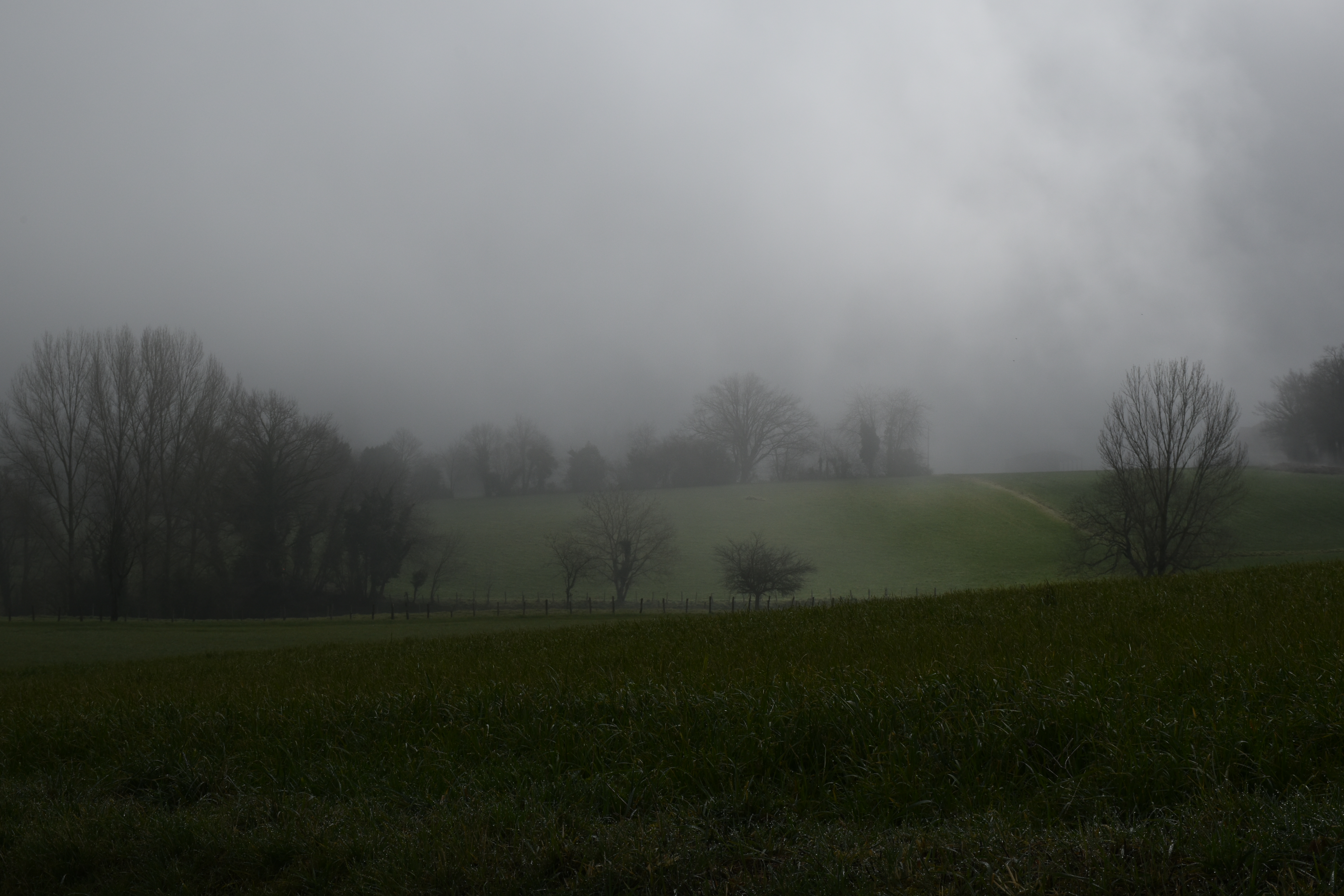 DSC_0450.JPG