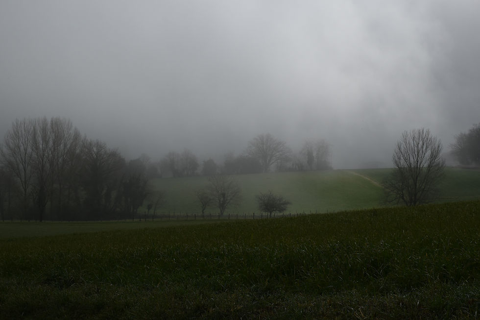 DSC_0450.JPG