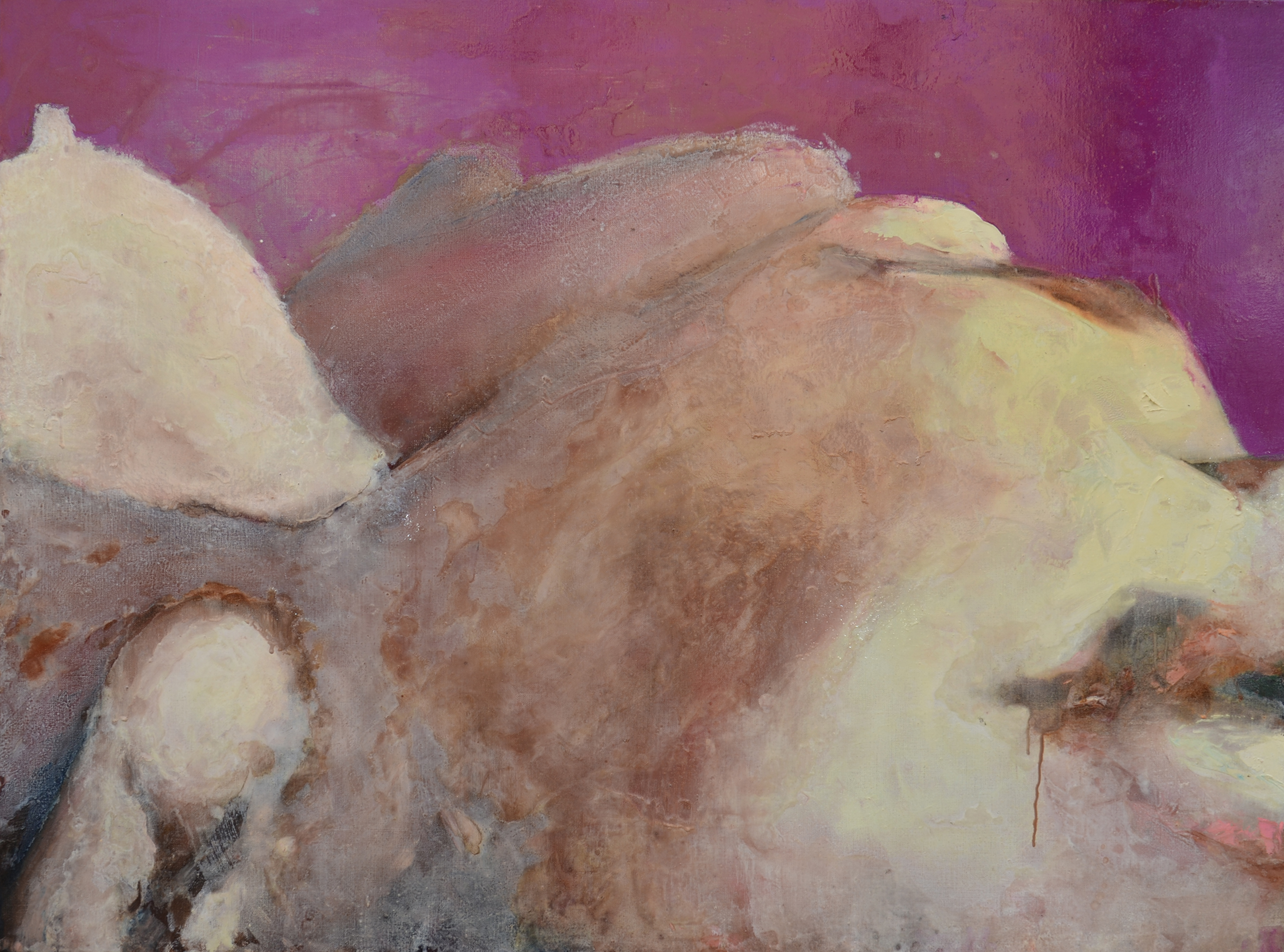 650 INTIMATE SOPHIE 2013, Huile sur toile, 130x97.jpg