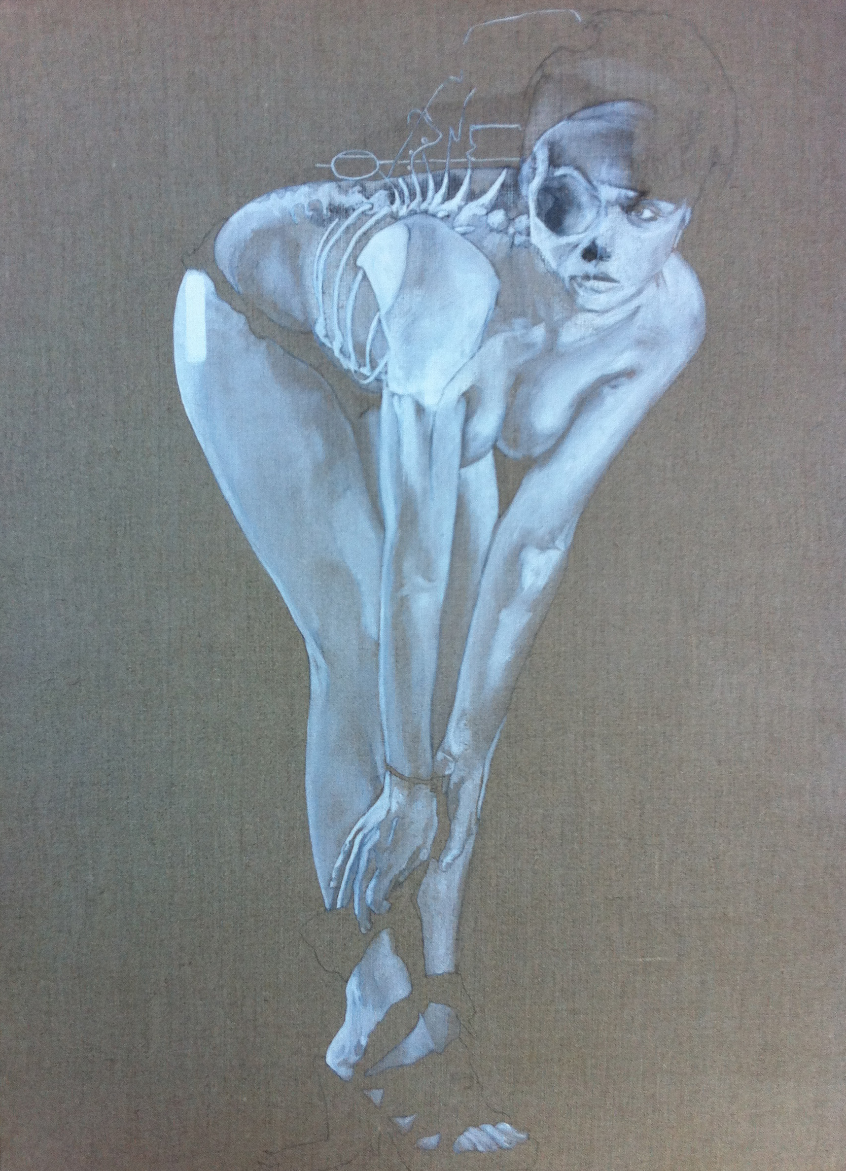 539 FANIMAL 2011, Huile sur lin, 73x54.jpg