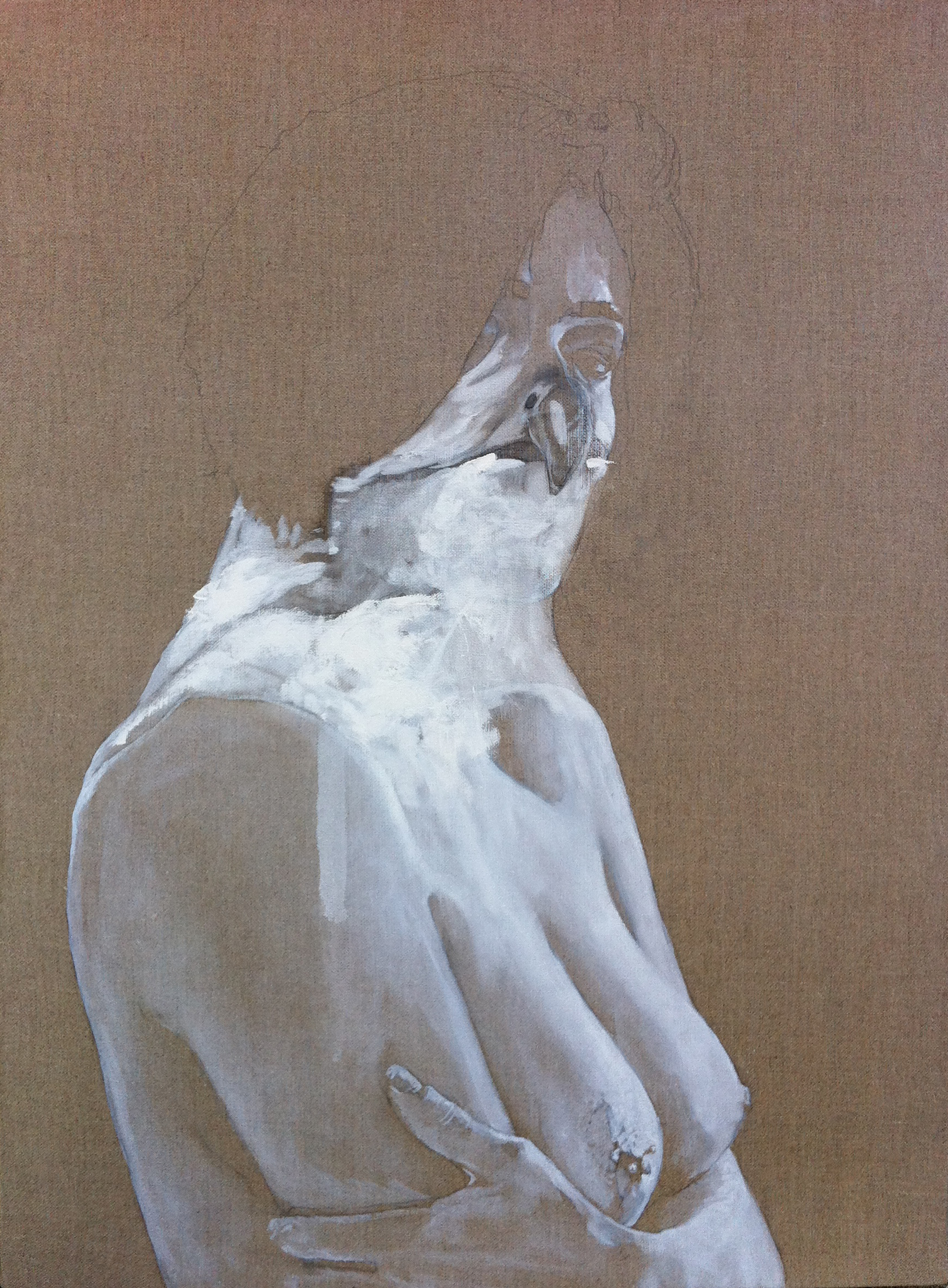 538 FANIMAL 2011, Huile sur lin, 73x54.jpg