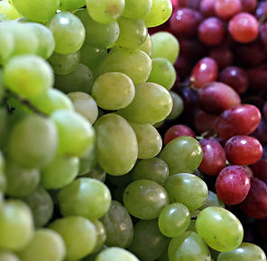 FRUTAS1.jpg