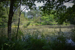 Le moulin vieux gite de sejour