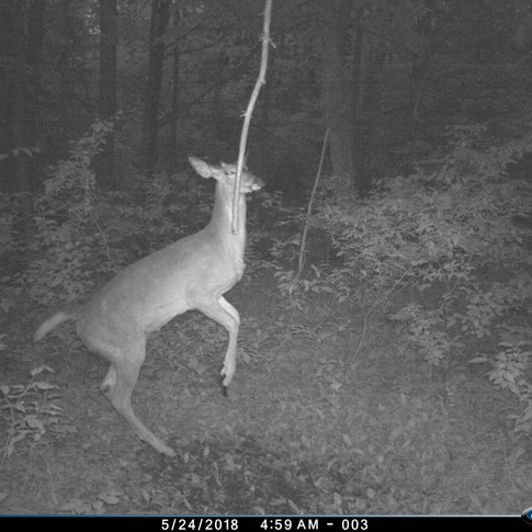 PHOTO GALLERY | U Outdoors