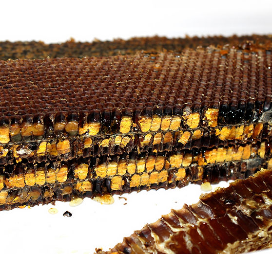 Nutritious Bee Bread Full Of Proteins, Vitamins, and Healthy Microelements