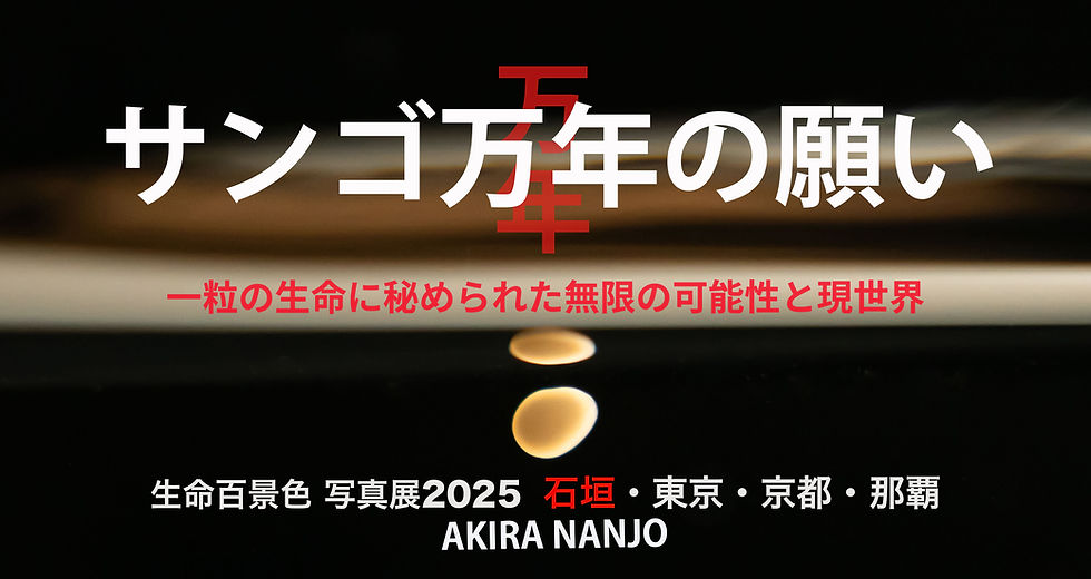 生命百景色 南條明 写真展2025『サンゴ万年の願い』 in 石垣
